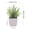 Misty Grass, variant on Mini Artificial Potted Plants, Assorted Plastic Faux Greenery Bushes with White Square Planters, Small Fake Plant Potted Set for Office Desk, Bathroom Shelf, Kitchen Counter, Apartment & Farmh