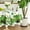 White, variant on St. Patricks Day Tablecloth 60×60 Inch Round, Clover Shamrock Hat Black Washable Table Cover for Party Picnic Dinner Decor