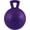 PURPLE, variant on Jolly Pets Tug-n-Toss Ball with Handle Purple 4.5 inch  Rubber Toy for Dogs