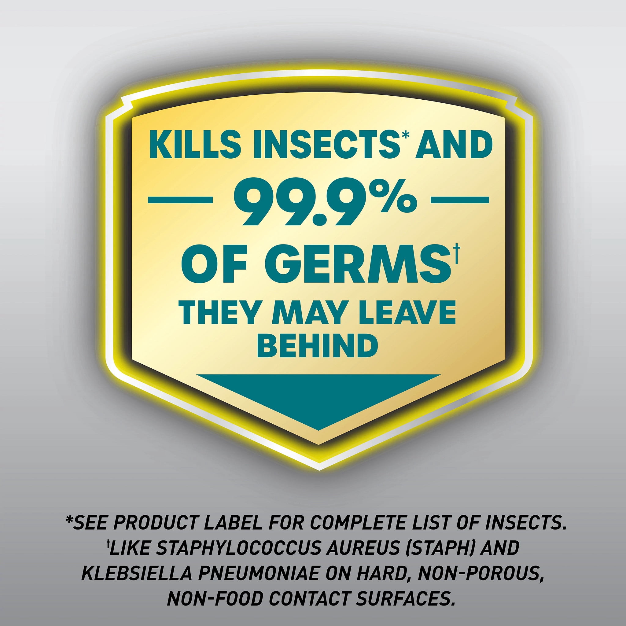 Ortho Home Defense Max Kitchen Insect Killer, Kills & Sanitizes 18 oz.