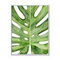 thumbnail image 1 of Designart Green Monstera Leaf Tropical Palm Botanical Detail FLOAT FRAME WALL ART, 1 of 4