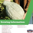 thumbnail image 2 of Harris Seeds Blue Hubbard Standard Squash, Winter Storage Variety with Blue-Gray Rind,Treated, 25 Count, 2 of 7