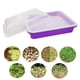 thumbnail image 1 of Bandeja germinadora de semillas Colamx bandeja de germinación contenedor de germinación violeta, 1 of 8