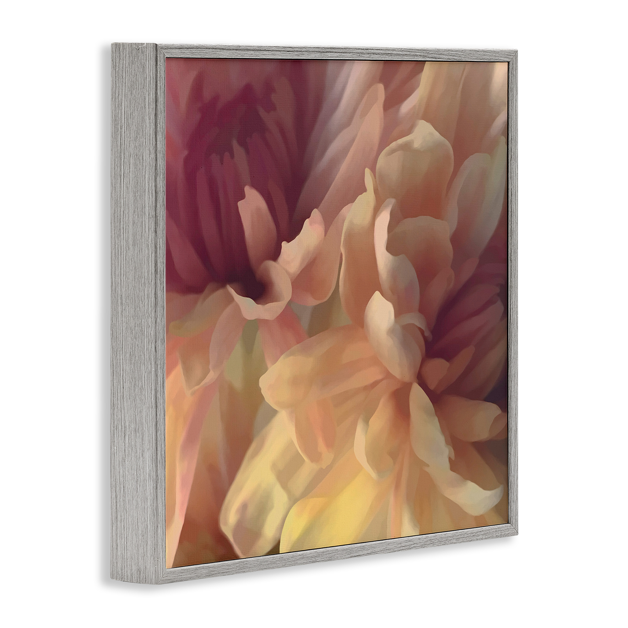 Stupell Industries Curling Dahlia Petals Botanical & Floral Painting Gray Framed Art Print Wall Art, 12 x 12