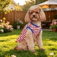 thumbnail image 6 of Dmlowu 4th of July Patriotic Dog Dress, Red White Blue Star Pattern Dog Clothes, Breathable Summer Party Outfit for Pets (5.5-8.8 lbs), 4th of July Decorations, 6 of 7