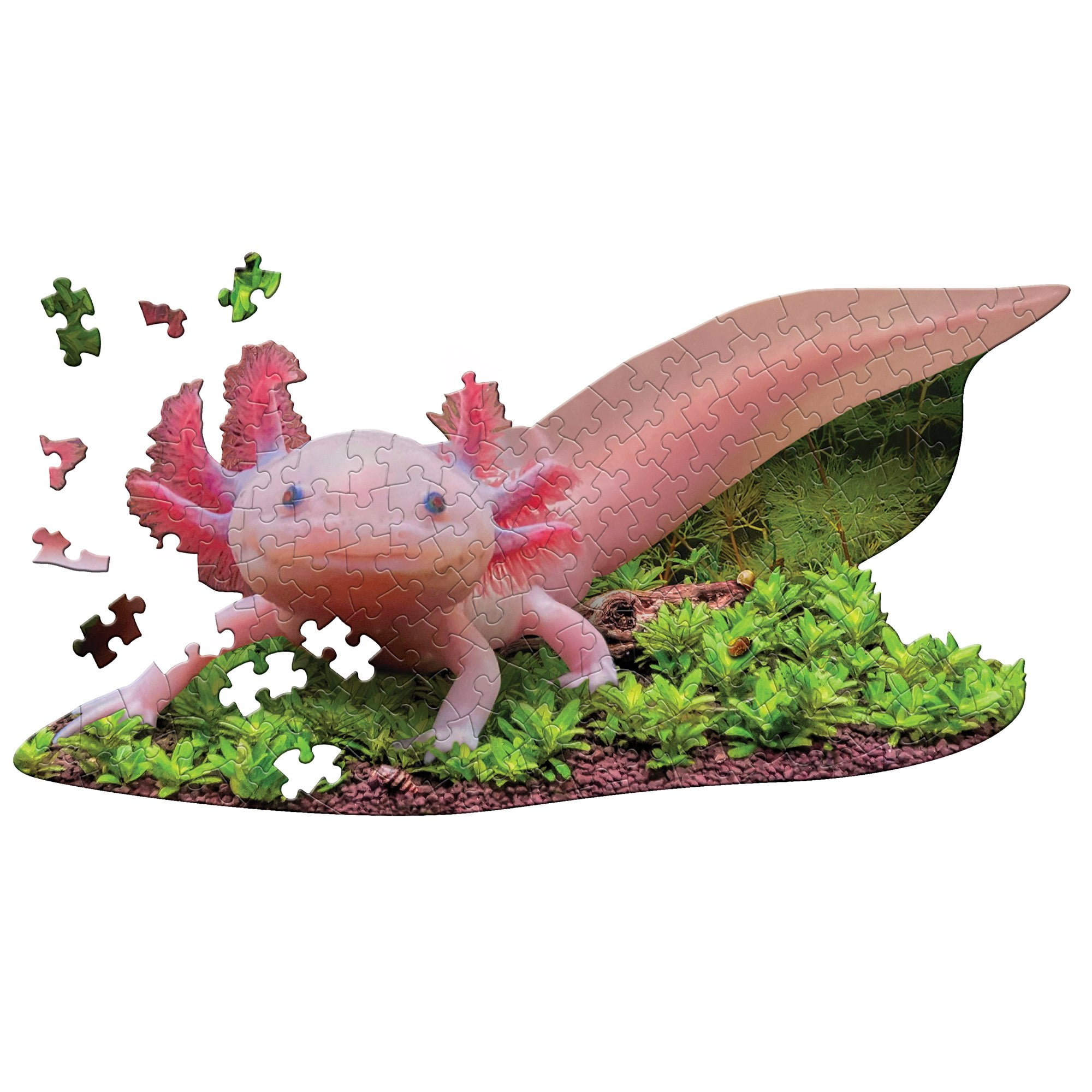I Am LiL' Axolotl Jigsaw Puzzle, 100 Pieces