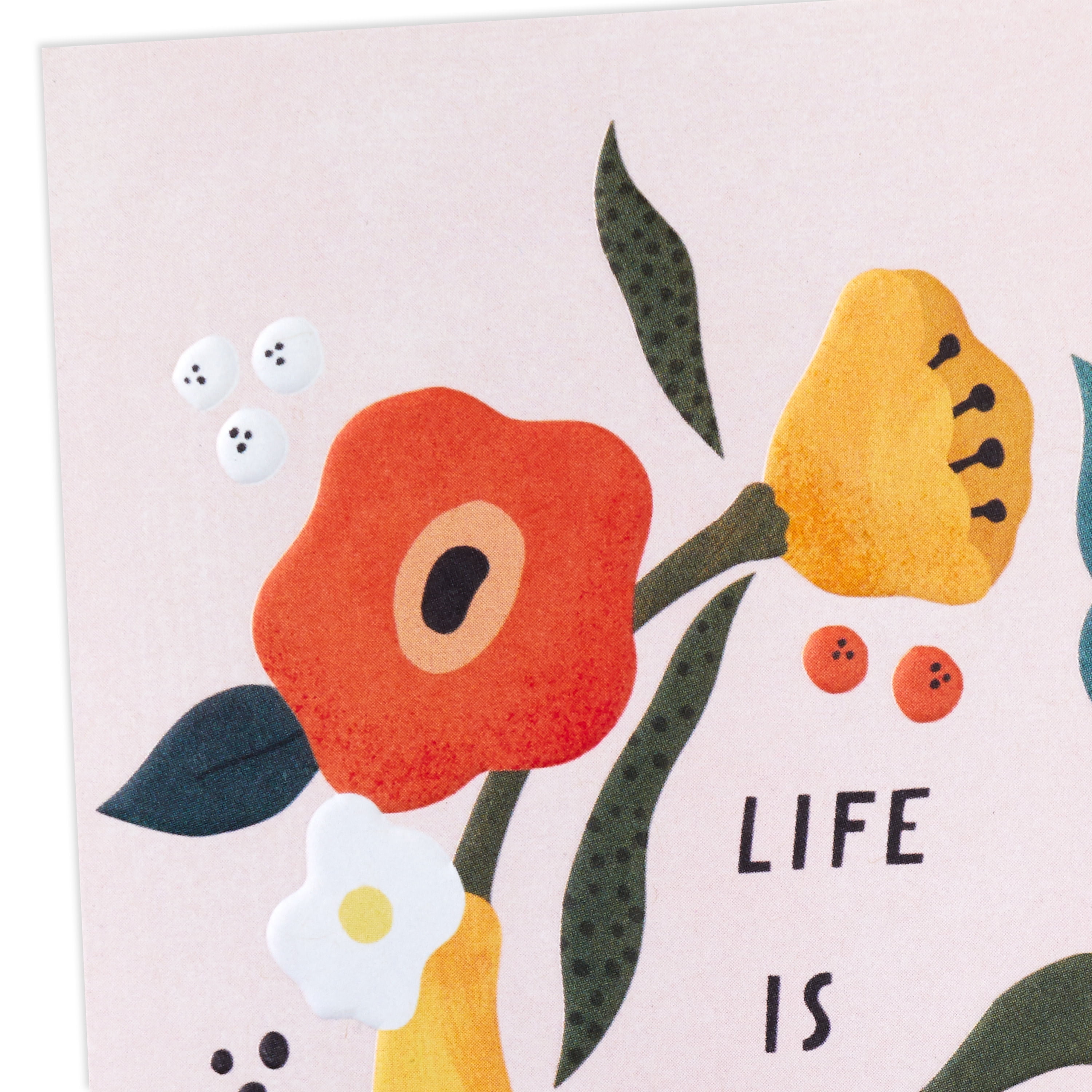 Hallmark Good Mail Friendship or Birthday Card (You Make Life Beautiful)