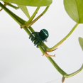 thumbnail image 4 of 100 PCS Garden Plant Clips Orchid Clips Plant Support Clips Flower and Vine Clips Garden Plant Clips Vine Attachment Tool for Supporting or Straightening Plant Stems  Stalks  and Vines Su, 4 of 7