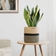 thumbnail image 5 of Diseño plegable, material natural, 21 x 21 cm, color negro y yute, cesta de yute para plantas de interior de 20 cm, cesta de diseño minimalista para organizar juguetes, 5 of 5