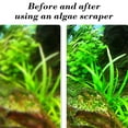thumbnail image 6 of Aquarium Algae Scraper Cleaning Tool Kit, Plastic 34cm Scraper with Long Handle for Deep Tanks, Efficient Algae Removal Tool for Freshwater and Saltwater Fish Tank Maintenance, Easy to Ll, 6 of 7