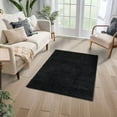thumbnail image 1 of Haperlare Shag Bedroom Rugs 4' x 6' Indoor Area Rug for Living Room Floor Carpet Shag Non-Slip, Black, 1 of 9