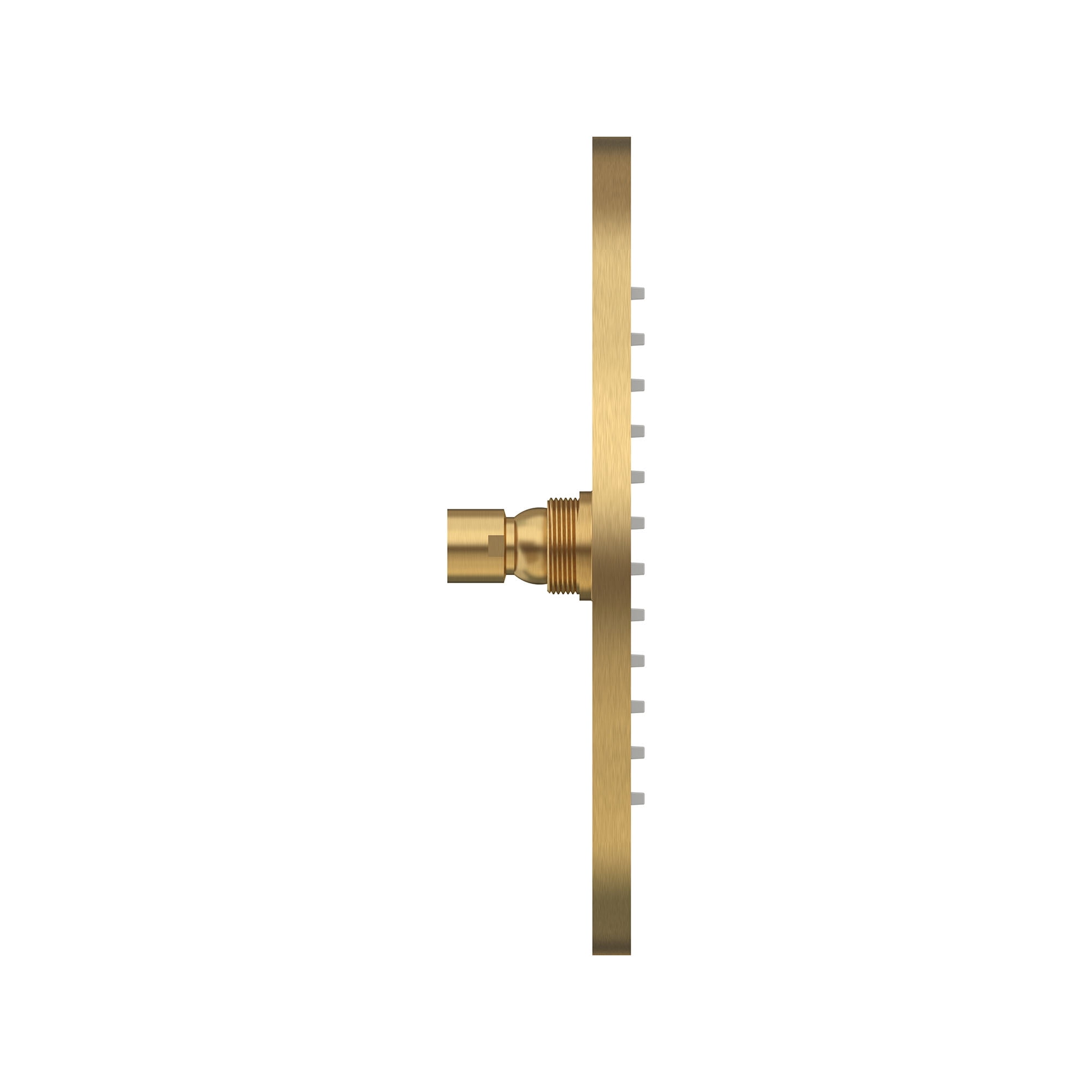 American Standard 1660683.GN0 Modern Single Function Shower Head - Brushed Cool Sunrise