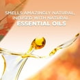 thumbnail image 4 of AIR WICK PAQUETE AROMATIZANTE DE AMBIENTE Y CONTINUO AROMA APPLE CINNAMON MEDLEY 40 ML, 4 of 6