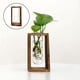 thumbnail image 1 of Florero hidropónico Baoblaze de madera y cristal, 1 of 5