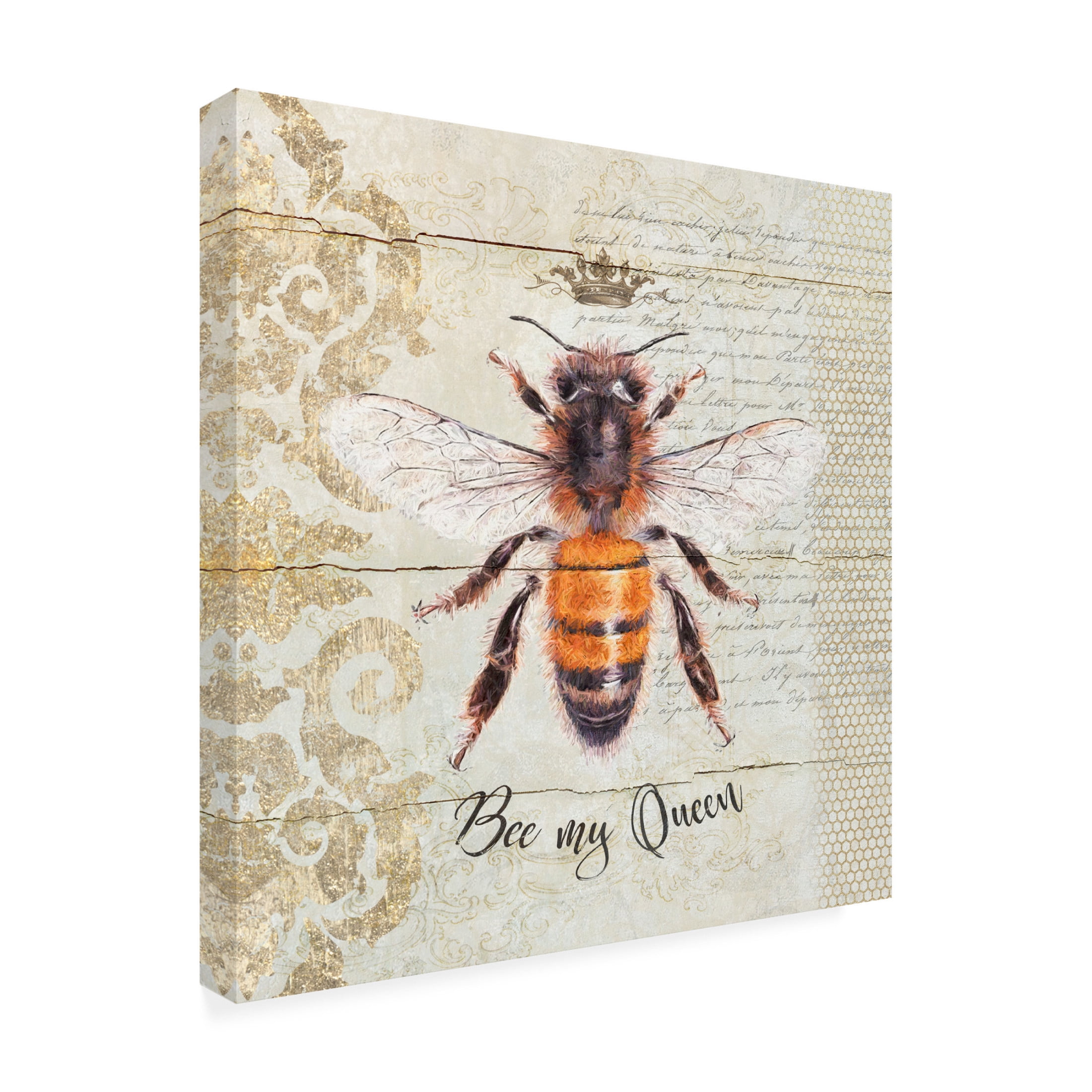 Canvas Wall Art - Cora Niele 'Queen Bee' Wall Art for Living Room, Bedroom, or Office Décor by Trademark Fine Art - 18 x 18 Inches