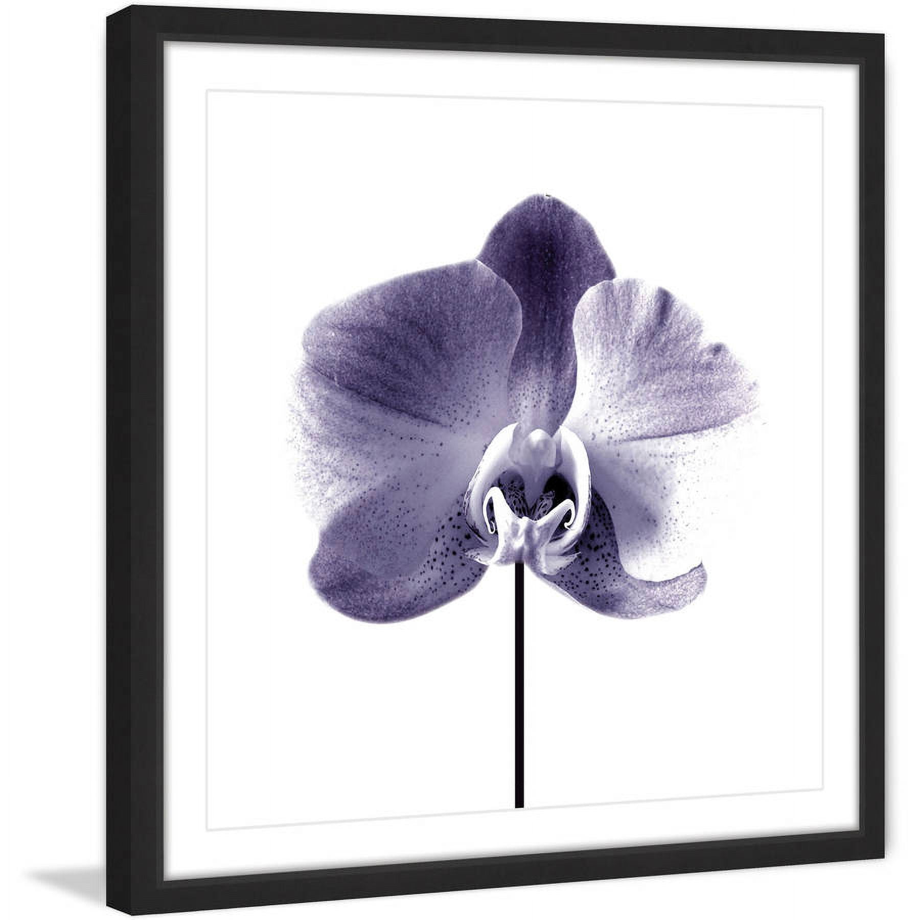 Marmont Hill "Smiling Iris" by Katarina Snygg Framed Painting Print