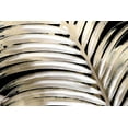 thumbnail image 2 of Allen, Kimberly 14x11 White Modern Wood Framed Museum Art Print Titled - Palm Gild, 2 of 4