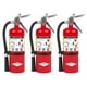 thumbnail image 1 of Extintor Amerex B500 ABC Dry Chemical 2A:10B:C 2,27 kg, 1 of 1