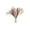 Beige-3, variant on Eolstice Dried Pampas Grass Decor, Natural Fluffy Plume Bundle with Bunny Tails, Boho Rustic Dried Flowers for Wedding Centerpiece, Home Table Party Arrangement
