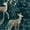 Color 4, variant on Peel and Stick Wallpaper Rustic Wilderness Scene Wildlife Forest Trees Wall Mural 23.6in x 9.8ft Self Adhesive Removable Wall Paper Renter Friendly Wallpaper for Nursery Bedroom Cabinets