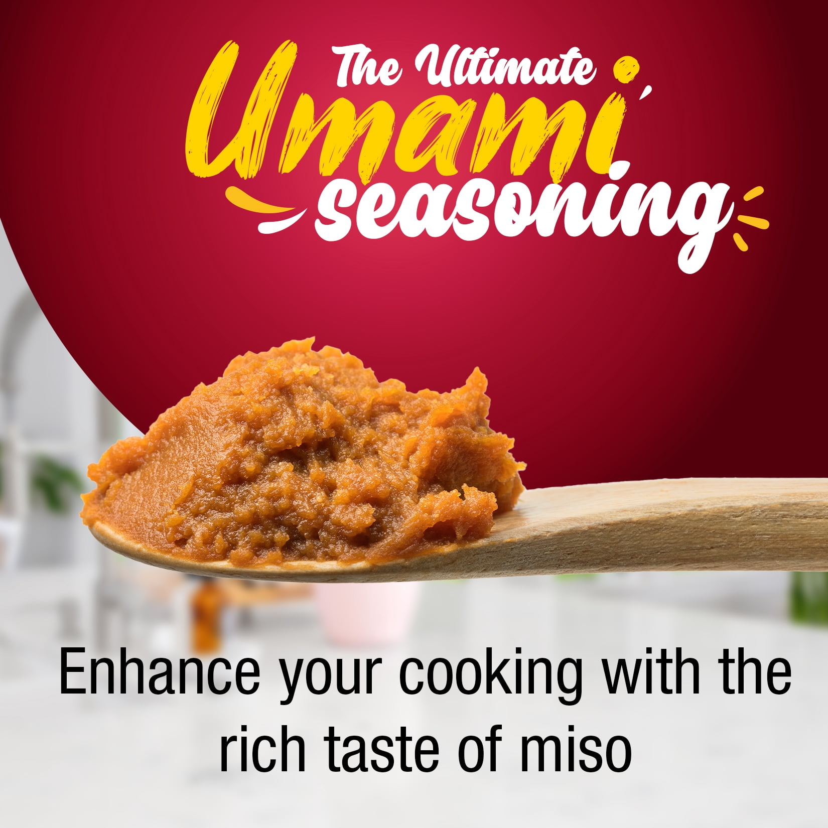 Fusion Select Red Miso Paste 300g Japanese Fermented Soybeans and
