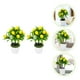 thumbnail image 1 of unbranded Planta Artificial Bonsái Multicolor Para Decorar Hogar Oficina Con Apariencia Natural Y Acabado Delicado, 1 of 8