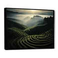 thumbnail image 2 of Designart "Dynamic Views of the Vineyard II" Landscapes Floater Framed Canvas Wall Art, 2 of 7