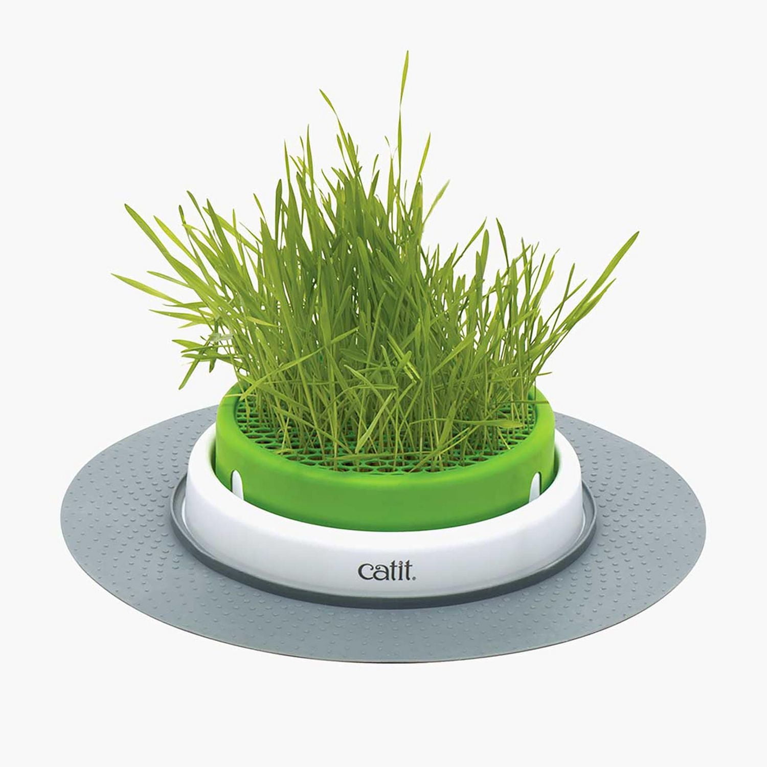 Catit Senses 2.0 Grass Planter Cat Toy