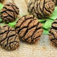 thumbnail image 2 of Sequoia Cones - Sequoia Pine 2-3in. long 3lbs per bag (75-100 cones) natural brown -- Single Bag, 2 of 4