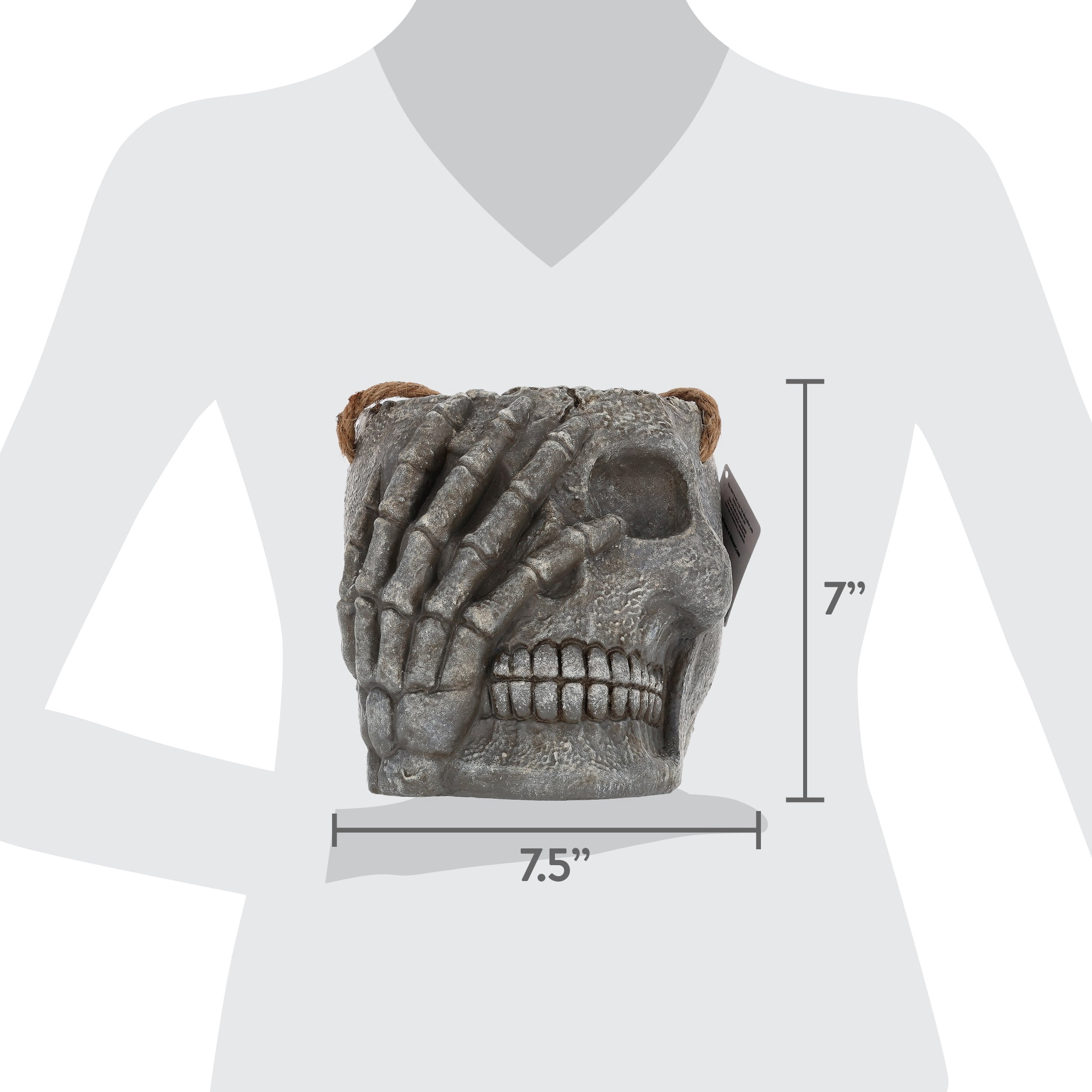 Blow Mold Skull Hanging Holder, Gray, Halloween by Way To Celebrate