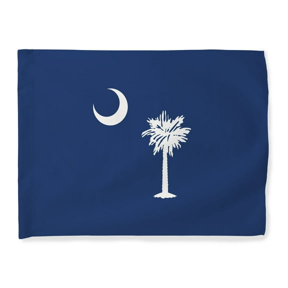 ThisWear Housewarming Gifts South Carolina Flag South Carolina Home Decor SC Flag Horizontal House Flag Multi
