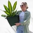 thumbnail image 7 of Bloem Dayton 15" Plastic Planter Box - 100% Recycled Plastic Outdoor Square Pot for Deck, Patio & Porch, Turtle Green, 7 of 7