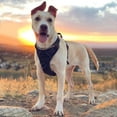 thumbnail image 3 of Harnais Tactique pour Grands Chiens, Harnais Militaire pour Chien avec Poignée, 3 of 3