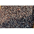 thumbnail image 3 of Plant Good Seed Organic Ruby Moon Hyacinth Bean Seed for Planting: Purple Pods, Flower Vine - 12 Seed Packet, 3 of 5