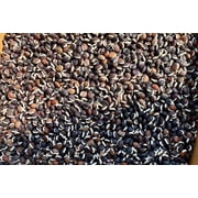 Plant Good Seed Organic Ruby Moon Hyacinth Bean Seed for Planting: Purple Pods, Flower Vine - 12 Seed Packet