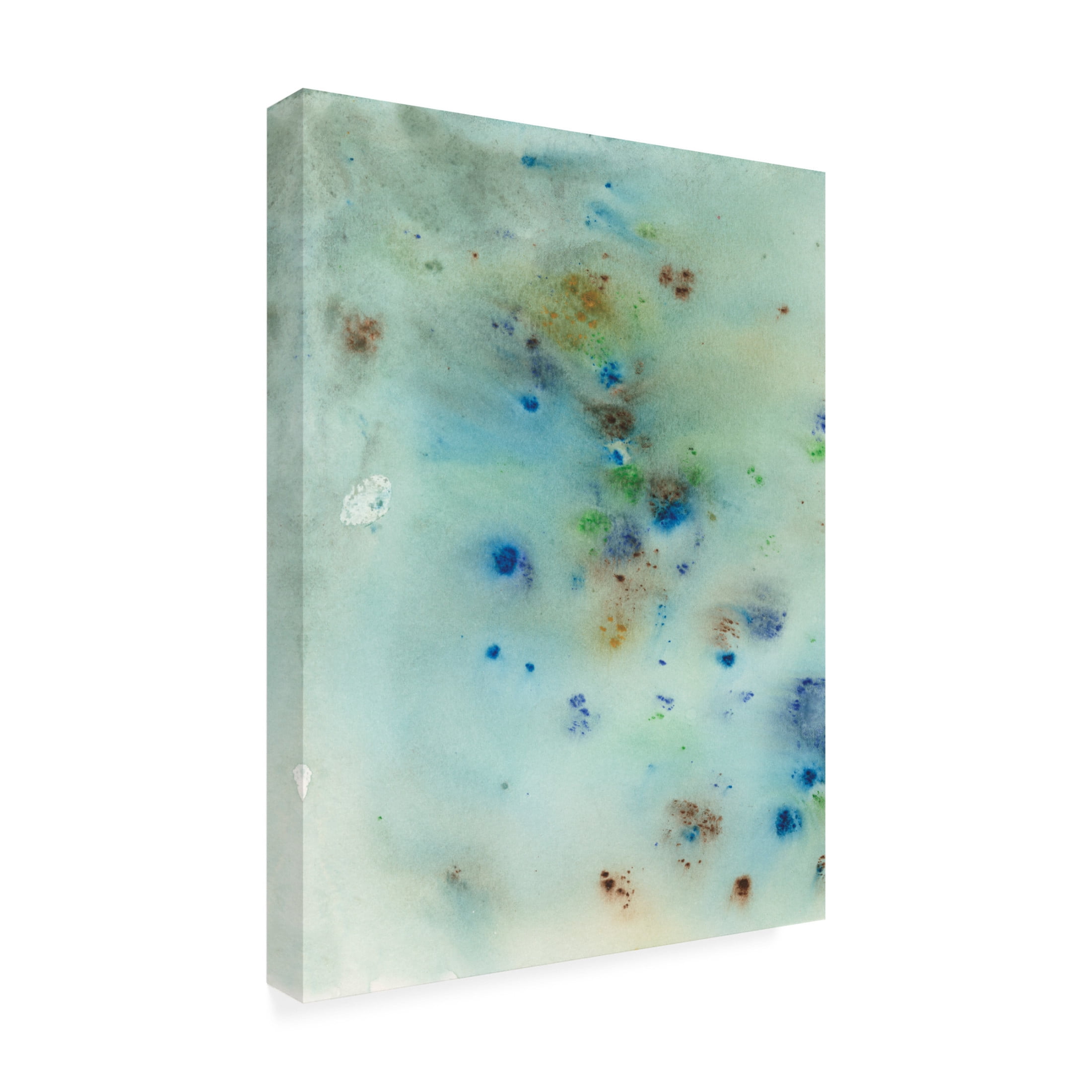 Canvas Wall Art - Jodi Fuchs 'Hawaiian Rain II' Wall Art for Living Room, Bedroom, or Office Décor by Trademark Fine Art - 18 x 24 Inches