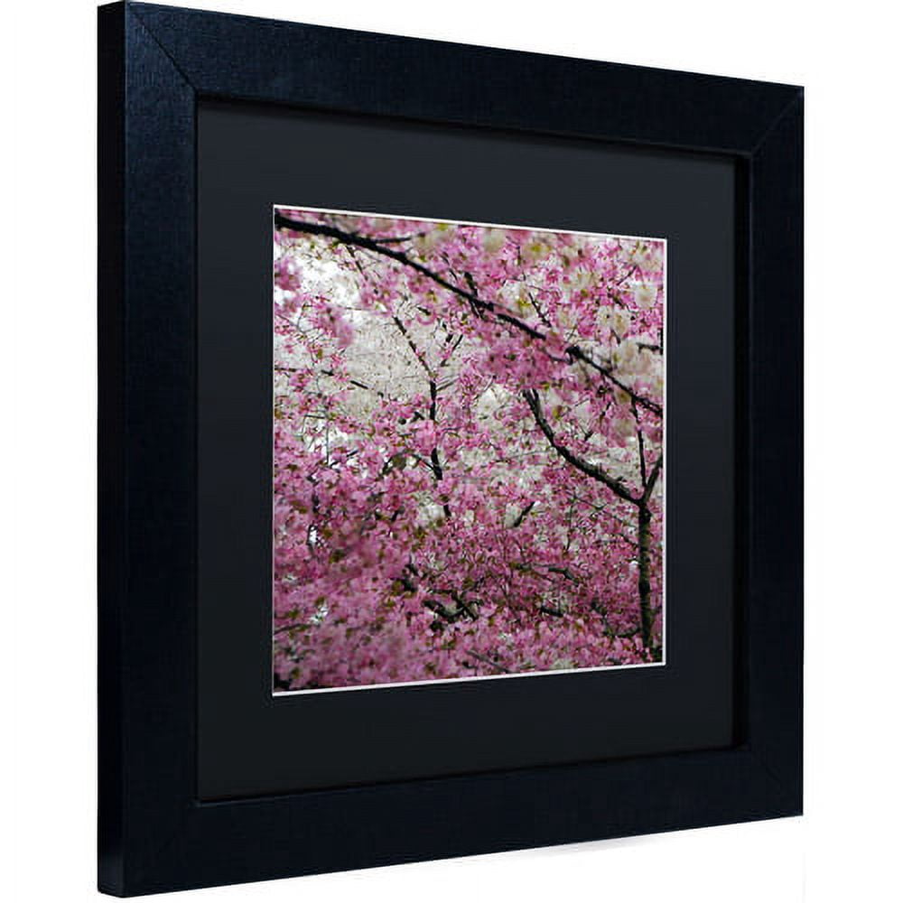 Trademark Fine Art "Cherry Blossoms 2014-3" Canvas Art by CATeyes, Black Matte, Black Frame