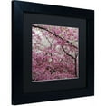 thumbnail image 2 of Trademark Fine Art "Cherry Blossoms 2014-3" Canvas Art by CATeyes, Black Matte, Black Frame, 2 of 3