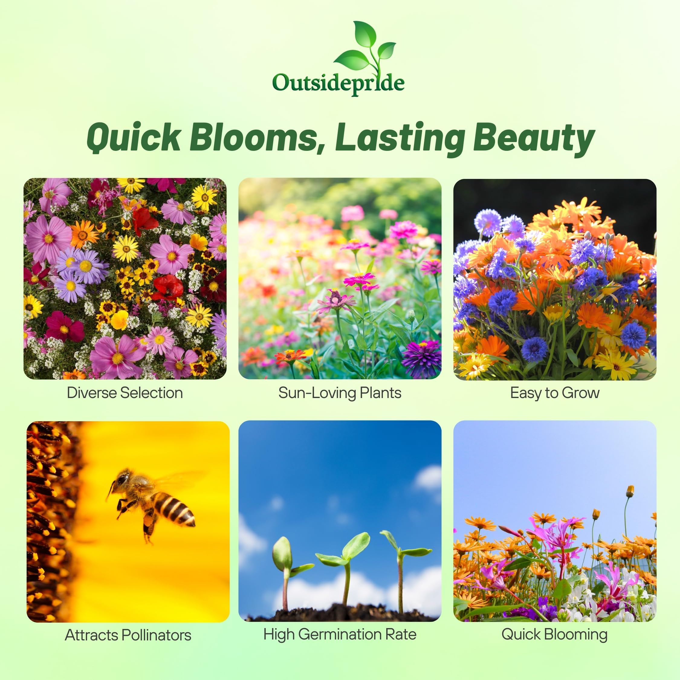 Outsidepride 1 lb. Annual Sun Wild Flower Seed Mix for Sunny Locations