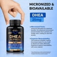thumbnail image 4 of Suplemento de DHEA NUTRAHARMONY 25 mg micronizado para mujeres y hombres, 4 of 7