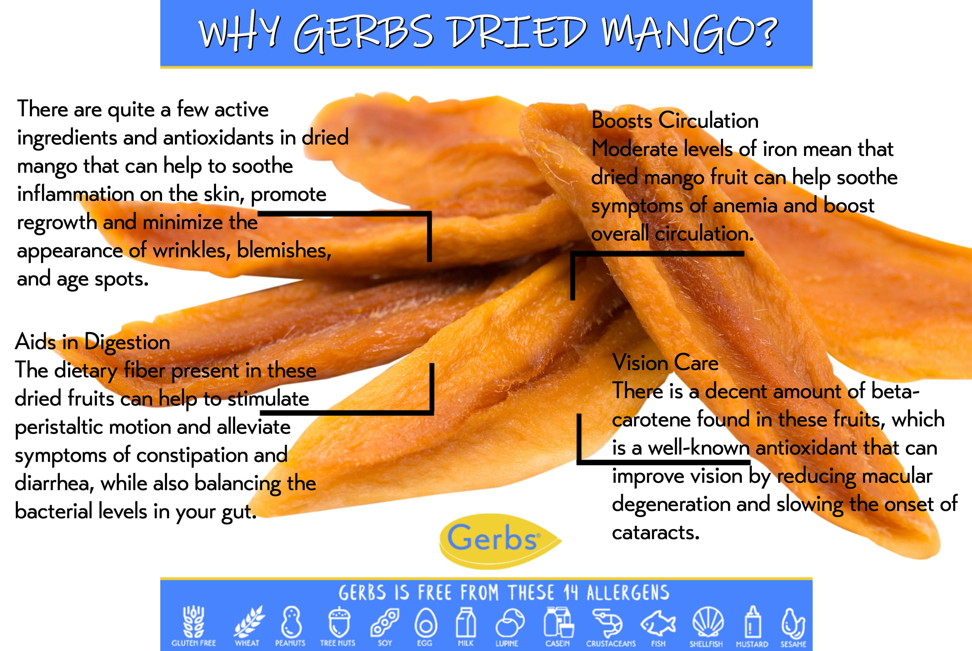 GERBS Dried Mango Slices Unsweetened 2 LBS.
