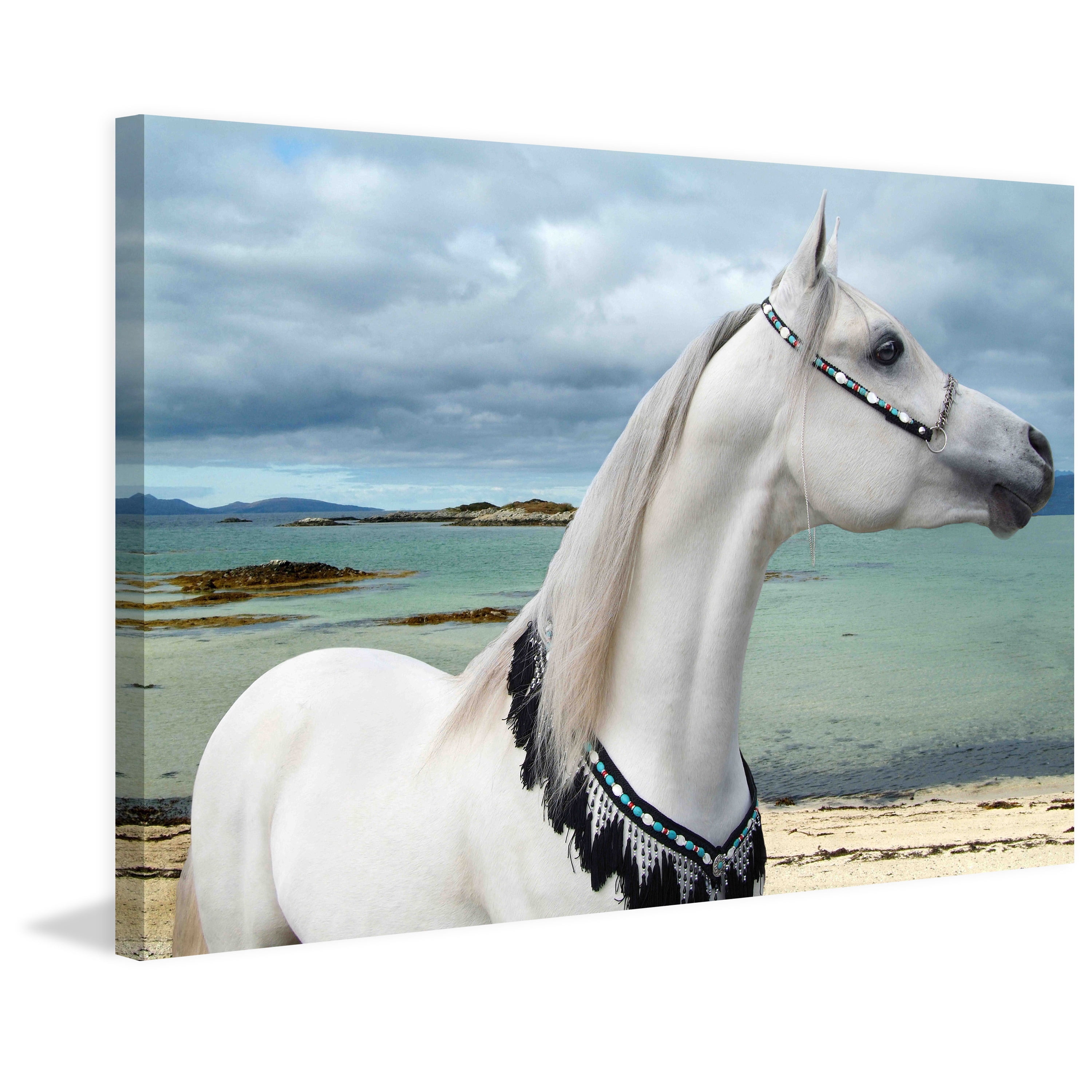 "Arabian Sea" Painting Print on Wrapped Canvas