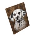 thumbnail image 1 of Couverture pour Chien Dalmatien Rustique BLNKT69672, 1 of 3