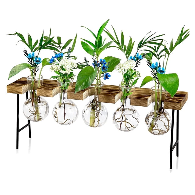 Estaciones de PropagacióN Terrario de Plantas de Aire de Escritorio, JarróN de Vidrio con Bulbo de Maceta de Vidrio con Soporte de Madera - Terrario de Plantas