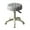Grey, variant on Trendix Rolling Stool with Wheels Swivel Stool Faux Leather Soft Cushion Height Adjustable Chair 360-Degree Swivel Chair for SPA Salon Home Office Drafting Work (Grey)