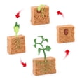 thumbnail image 4 of Simulation Insect Plastic Animal Early Growth Preschool Materials Objects Special Model Miniature Educational Props Cognition Toy for Children Type 9, 4 of 9