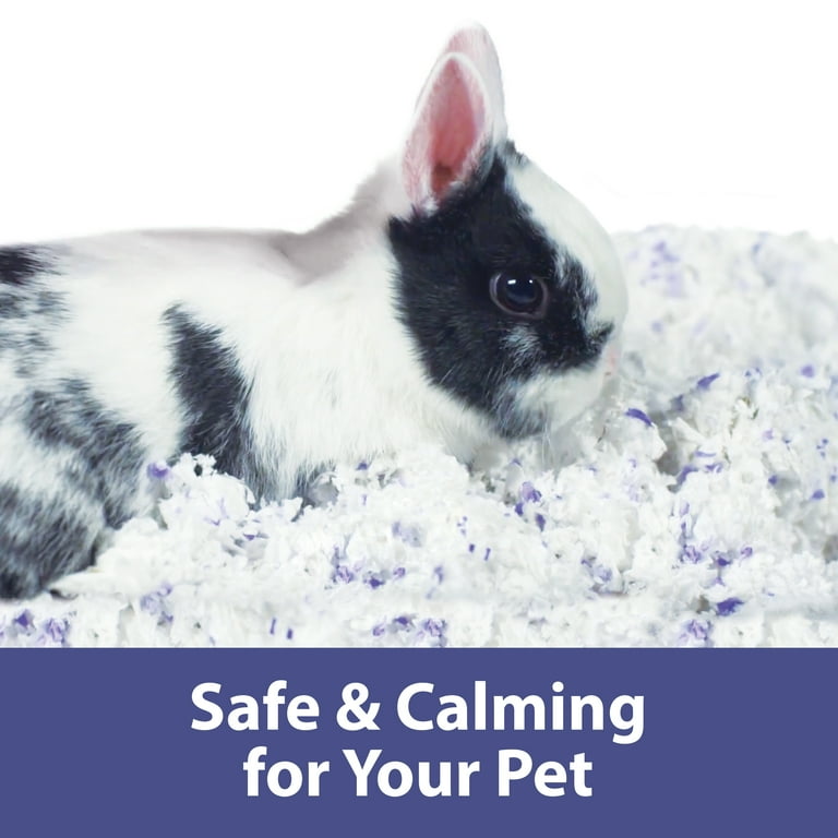 Kaytee Forti Diet Clean Comfort Small Animal Bedding Lavender 24.6L