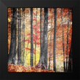thumbnail image 2 of Villa, Mlli 12x12 Black Modern Framed Museum Art Print Titled - Fall In The Woods, 2 of 5