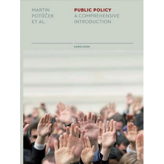 Public Policy : A Comprehensive Introduction (Paperback)