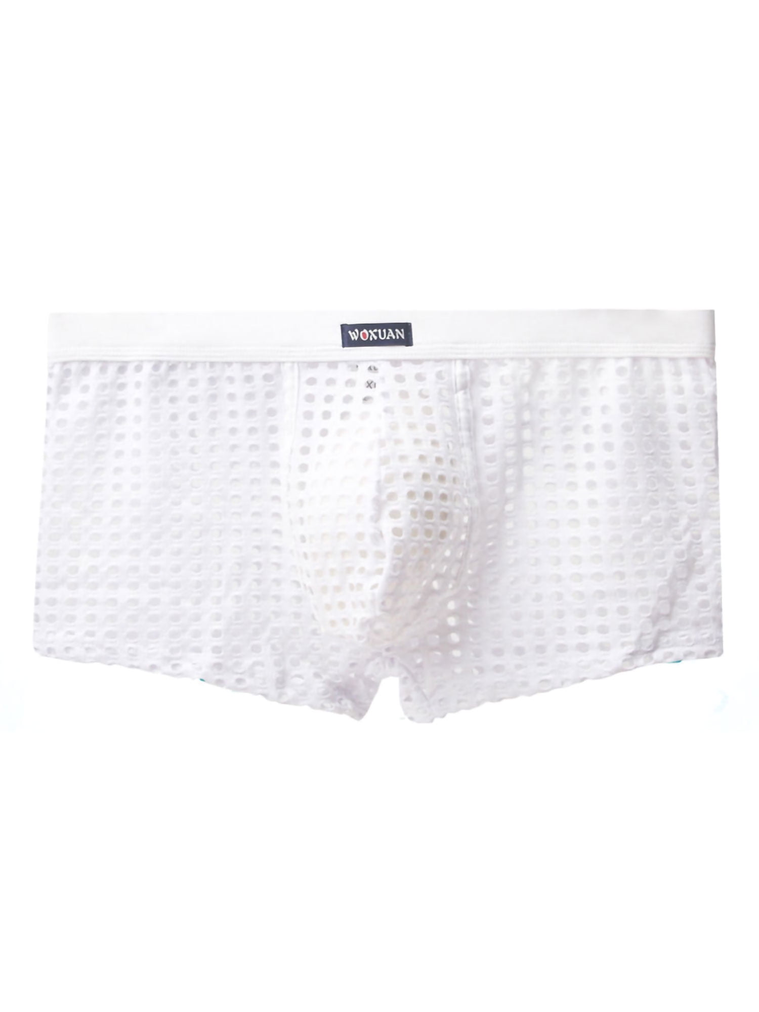 Mens Mesh Trunks Shorts Gridding See Through Boxer Briefs Swimwear Underwear 